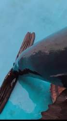 2906365 B