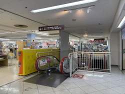 234394 B