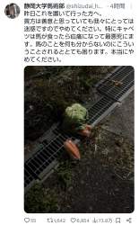 651365 B