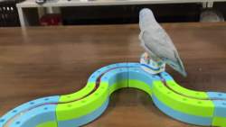 2689495 B