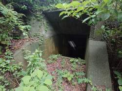 1038875 B