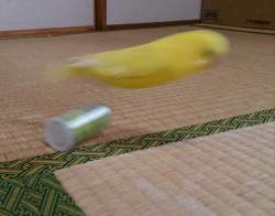 129472 B