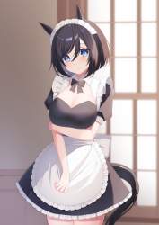 2527268 B