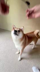 1354961 B
