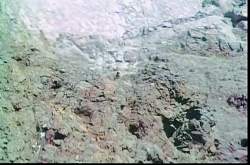 2495855 B