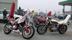 73536 B