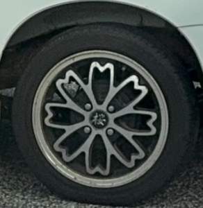 256794 B