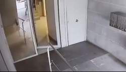 1679798 B