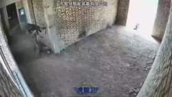 2692125 B