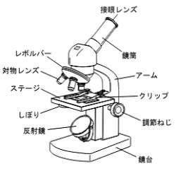 8127 B