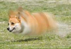 52888 B