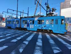 876874 B