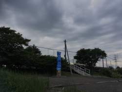 545029 B
