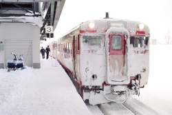 254460 B
