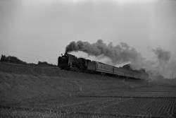 213211 B