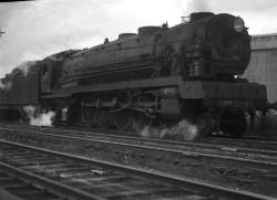 336811 B
