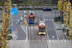 585646 B