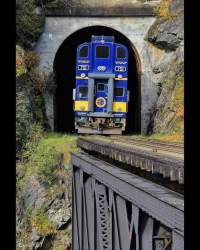 123896 B