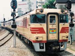 503004 B