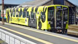 630272 B