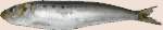 3628 B