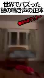 874561 B